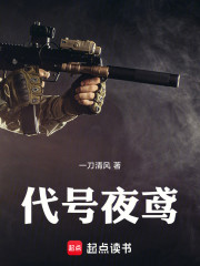 代号：夜鸢