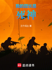 我的团长是死神