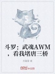 斗罗：武魂AWM，看我堵唐三桥