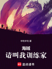海贼：请叫我训练家