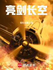亮剑长空