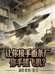让你接手面条厂，你手搓飞机？