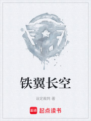 铁翼长空