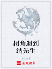 拐角遇到纳先生