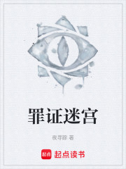 罪证迷宫
