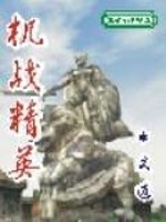 机战精英