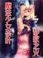 魔法少女奈叶静寂之火