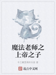 魔法老师之上帝之子