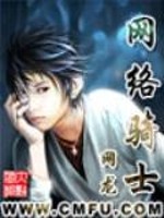 网络骑士