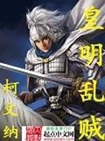 皇明乱贼