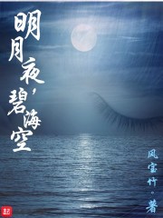 明月夜，碧海空