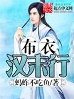 布衣汉末行
