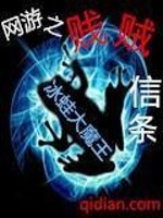 网游之贱贼信条