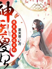 神醫(yī)傻妃
