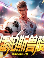 潘帕斯兽腰丨足球丨竞技丨体育丨热血丨青春在线阅读