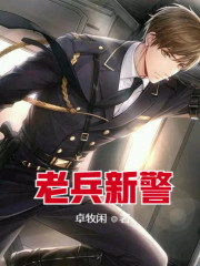 老兵新警在线阅读