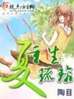 重生夏琉璃