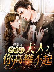 离婚后，夫人你高攀不起小说主角陆景盛阮舒全文免费阅读-够力荐小说推荐网