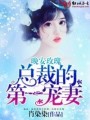 晚安玫瑰，总裁的第一宠妻